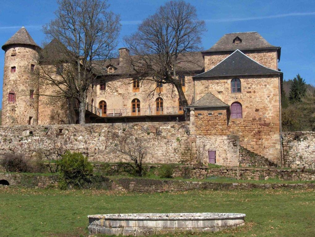 Chateau De Salelles Banassac Zewnętrze zdjęcie