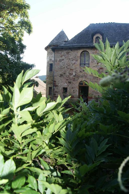 Chateau De Salelles Banassac Zewnętrze zdjęcie