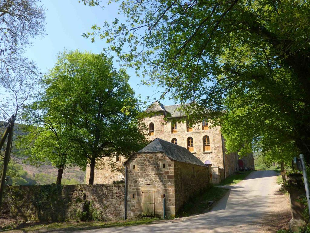Chateau De Salelles Banassac Zewnętrze zdjęcie