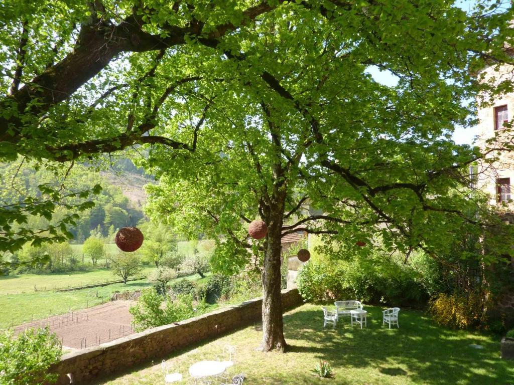 Chateau De Salelles Banassac Zewnętrze zdjęcie