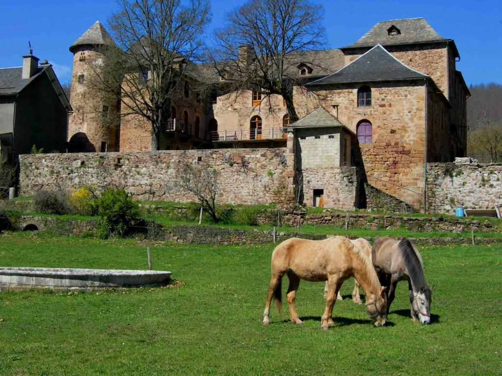 Chateau De Salelles Banassac Zewnętrze zdjęcie